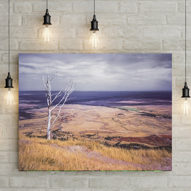 Sheridan Valley Bighorn Mountains Wyoming Art Print -