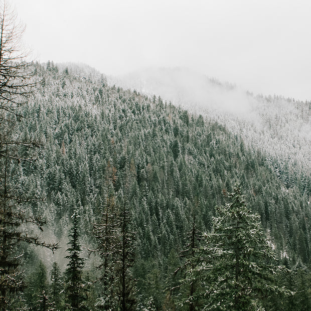 Snow Capped Wilderness Washington State - Photography