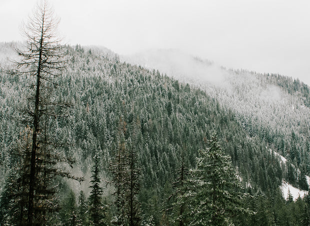 Snow Capped Wilderness Washington State - Photography