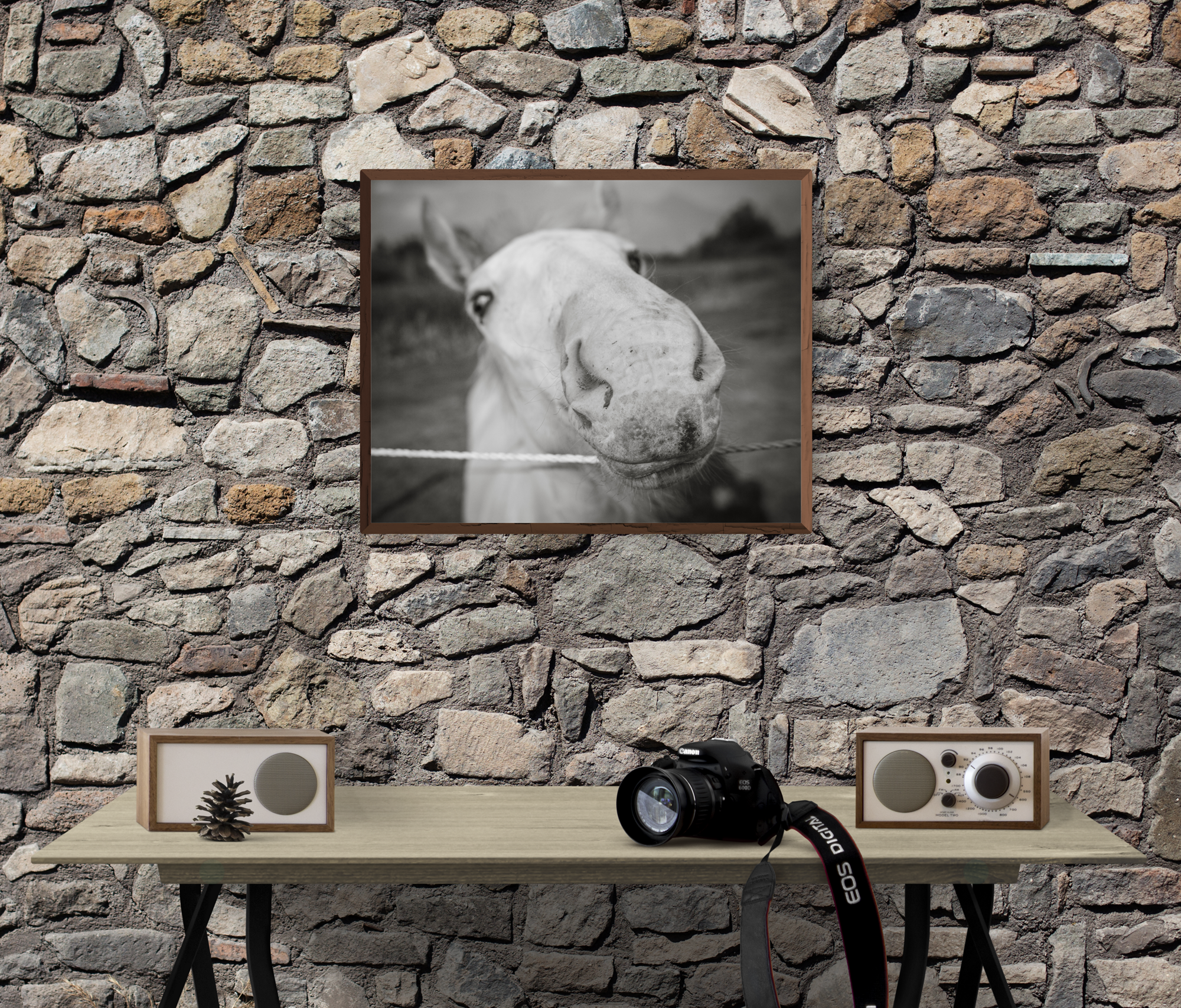 Baby Stallion Black and White Modern Art Print - Photography