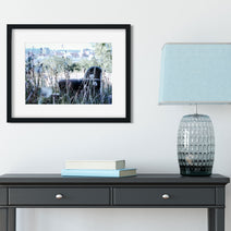 Abandoned Spokane Photo Print Urban Rural - Photography