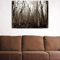 Swamp Trees, Louisiana Forest Fine Art Print Lost Kat Photography