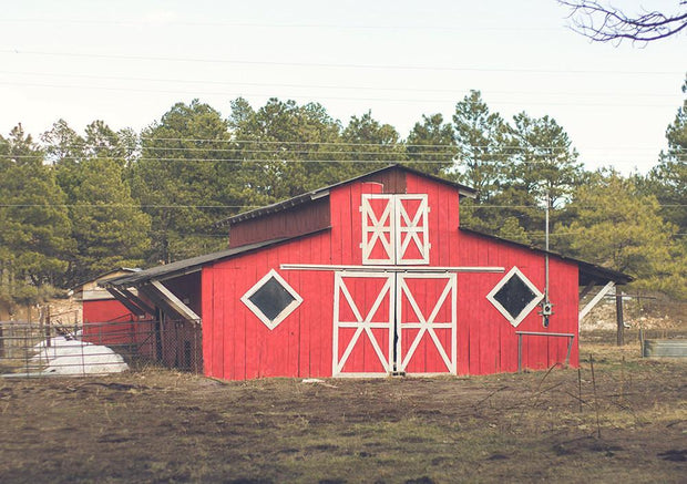 The Red Barn Lost Kat Photography