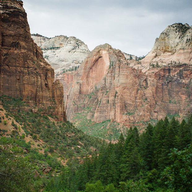 The Virgin River Valley Zion National Park Utah Photo Print