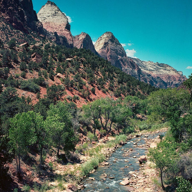 The Virgin River Zion National Park Fine Art Print -