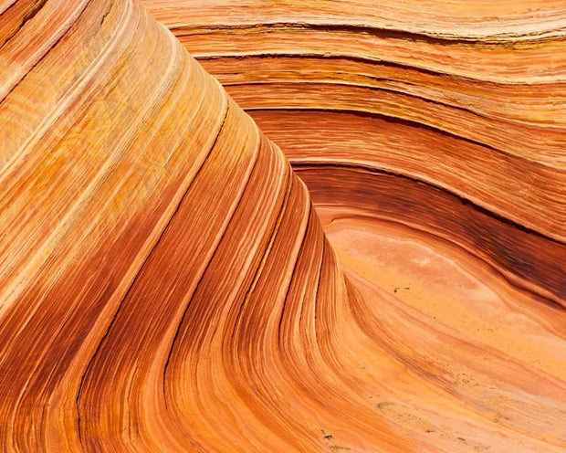 The Wave Arizona Desert Coyote Buttes Photo Print -