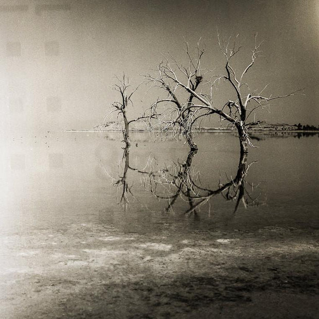 Three Trees Salton Sea Black and White Surreal Art Print -
