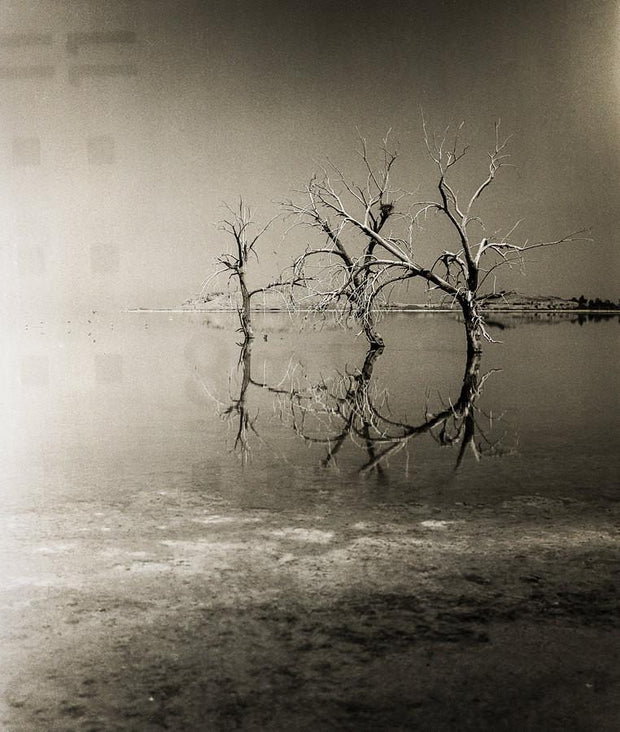 Three Trees Salton Sea Black and White Surreal Art Print -
