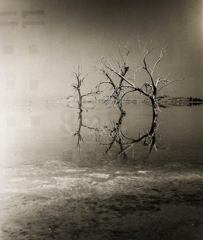 Three Trees Salton Sea Black and White Surreal Art Print -