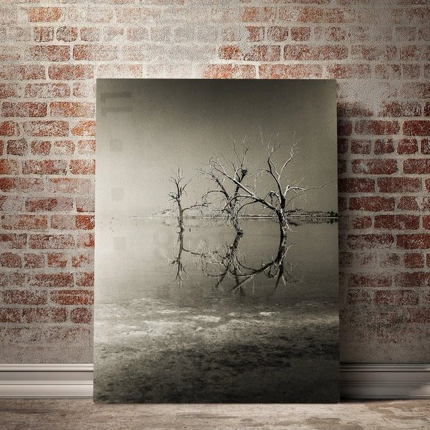 Three Trees Salton Sea Black and White Surreal Art Print -