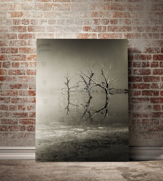 Three Trees Salton Sea Black and White Surreal Art Print -