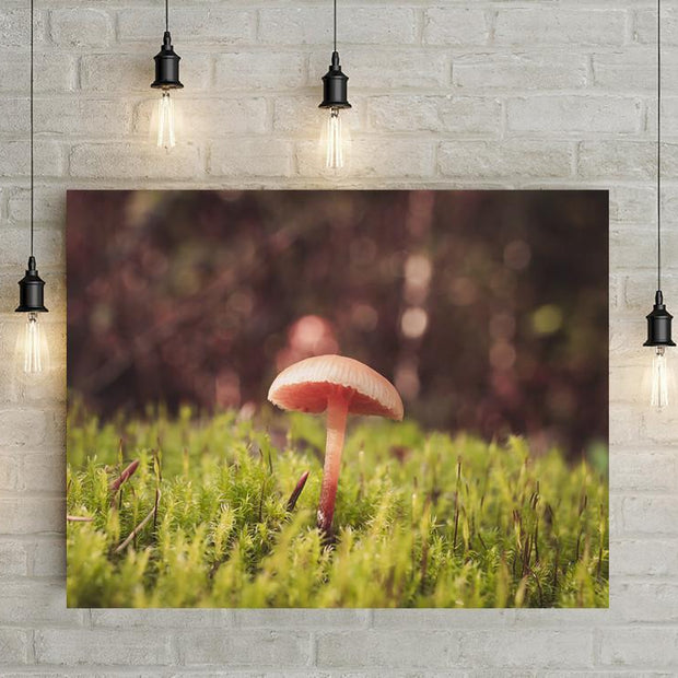 Tiny Mushroom in Moss Botanical Wall Art Print - Photography