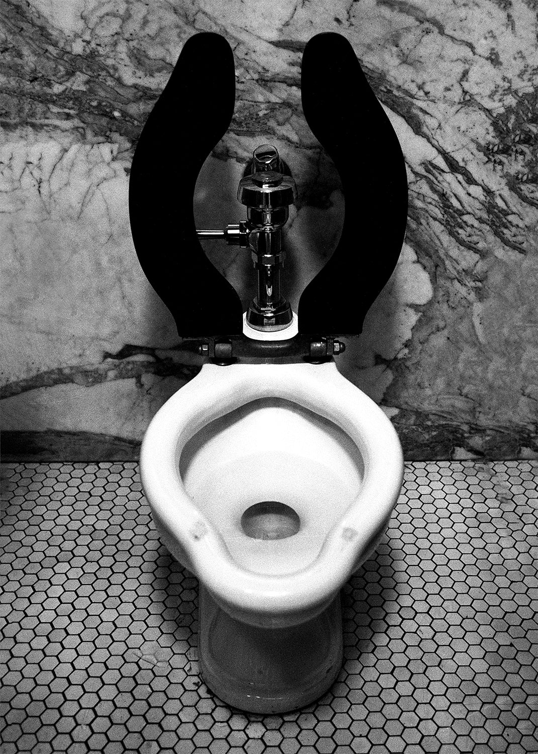 Luxury Toilet Black and White Film Photography Print