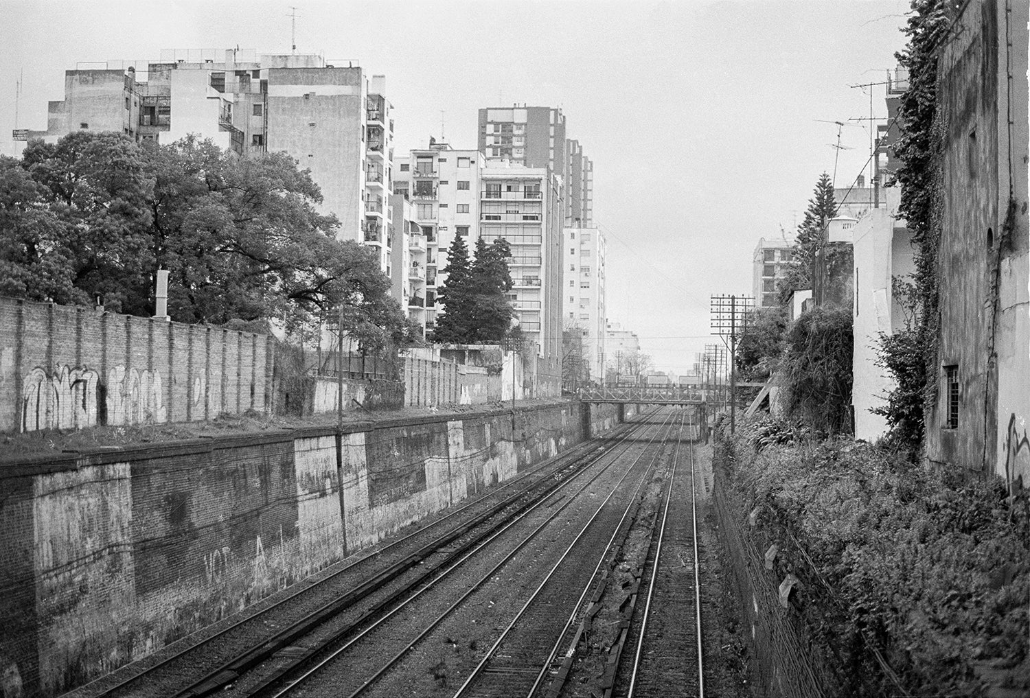 Travel Plans Train Tracks Buenos Aires Black and White Art