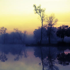 Trees at Sunrise Lake Reflection Louisiana Nature Wall Art