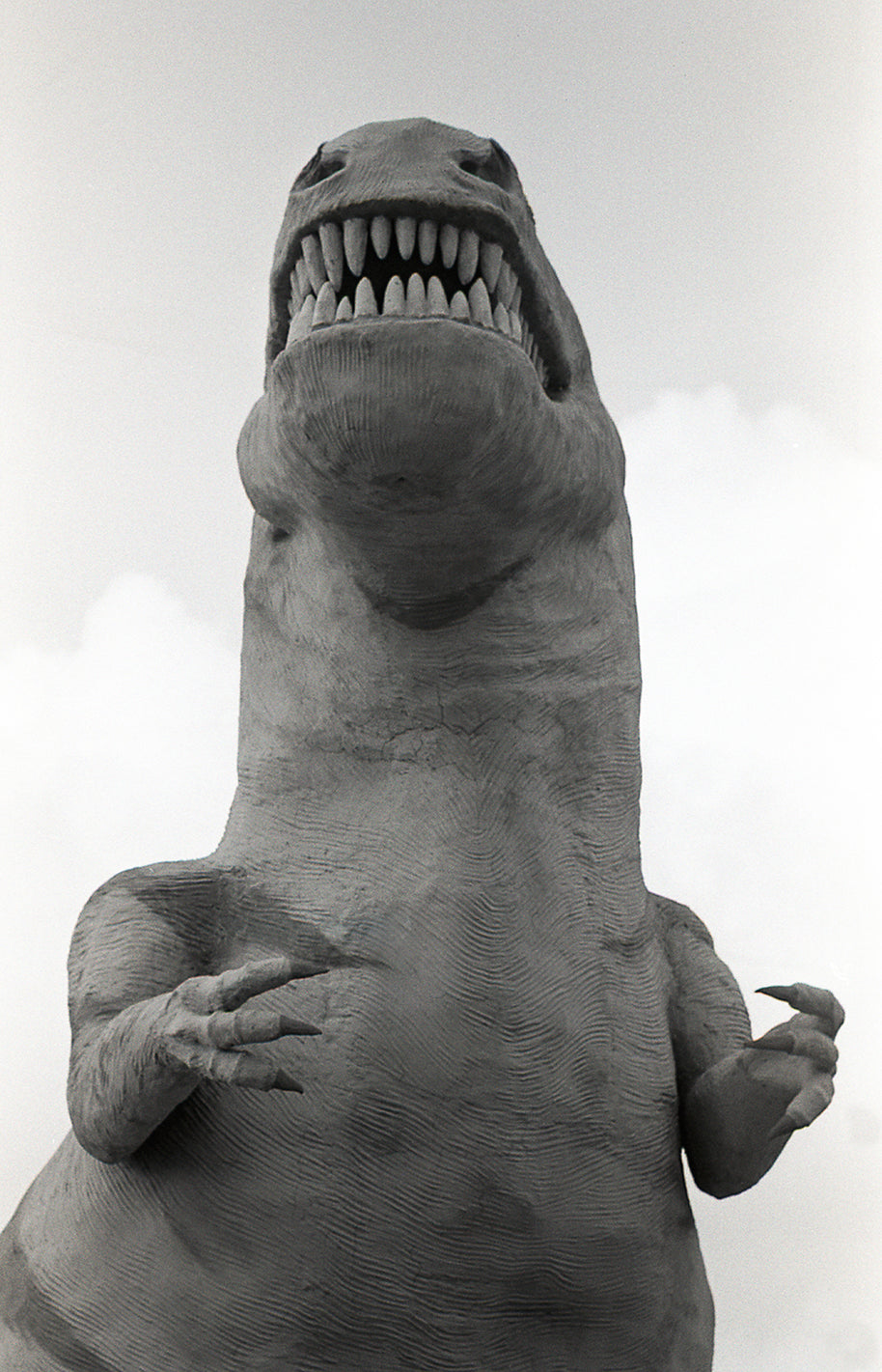 Cabazon Dinosaurs T-Rex Southern California Wall Art -
