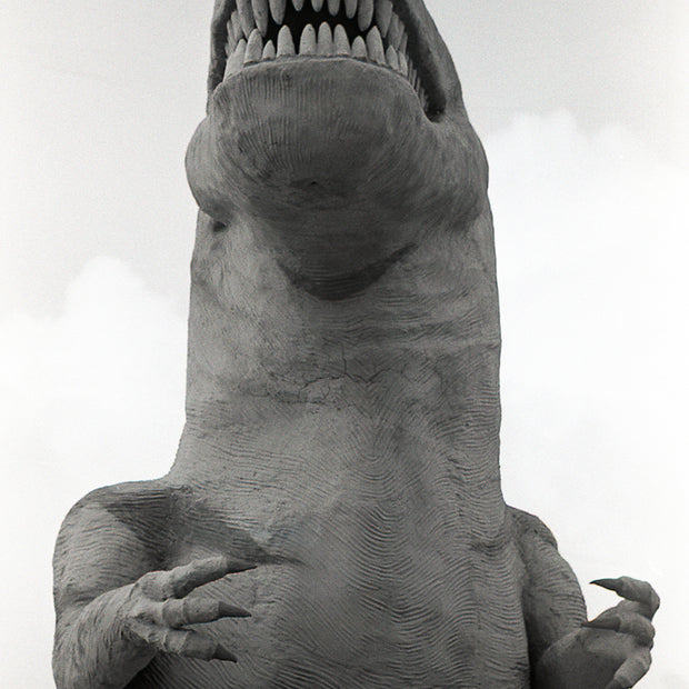 Cabazon Dinosaurs T-Rex Southern California Wall Art -