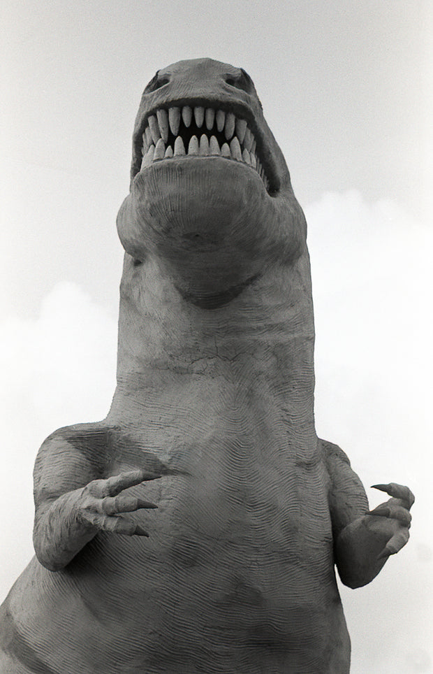 Cabazon Dinosaurs T-Rex Southern California Wall Art -
