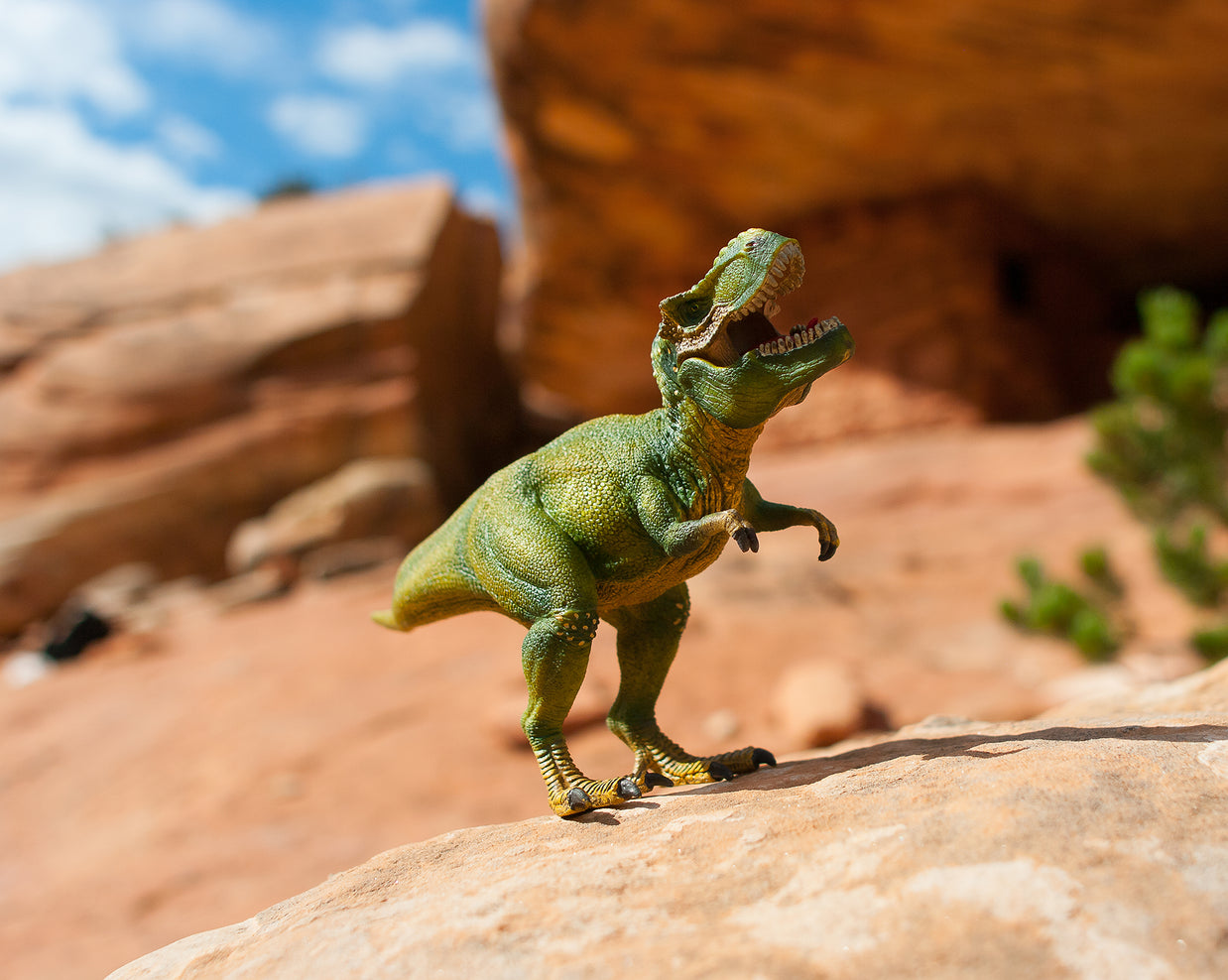 Roar of Rex Photo Art Print Fun Dinosaur Wall - Photography