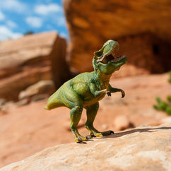 Roar of Rex Photo Art Print Fun Dinosaur Wall - Photography