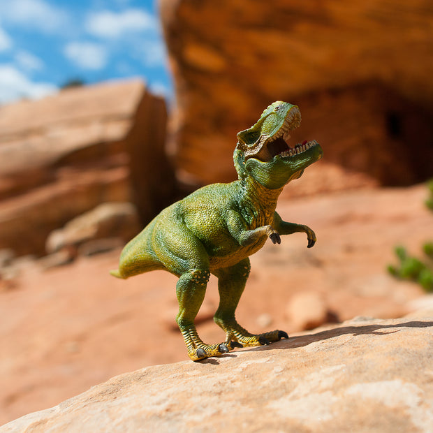 Roar of Rex Photo Art Print Fun Dinosaur Wall - Photography