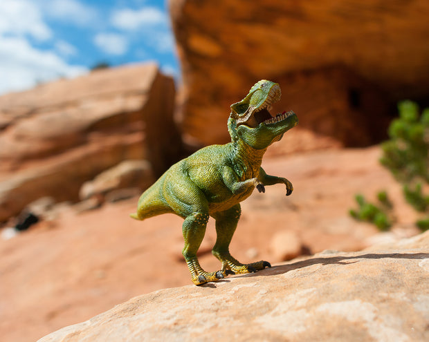 Roar of Rex Photo Art Print Fun Dinosaur Wall - Photography