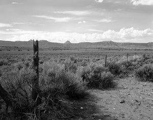 Ragged Fence and Tumbleweeds - Utah Photography