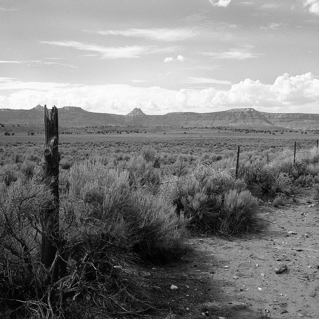 Ragged Fence and Tumbleweeds - Utah Photography
