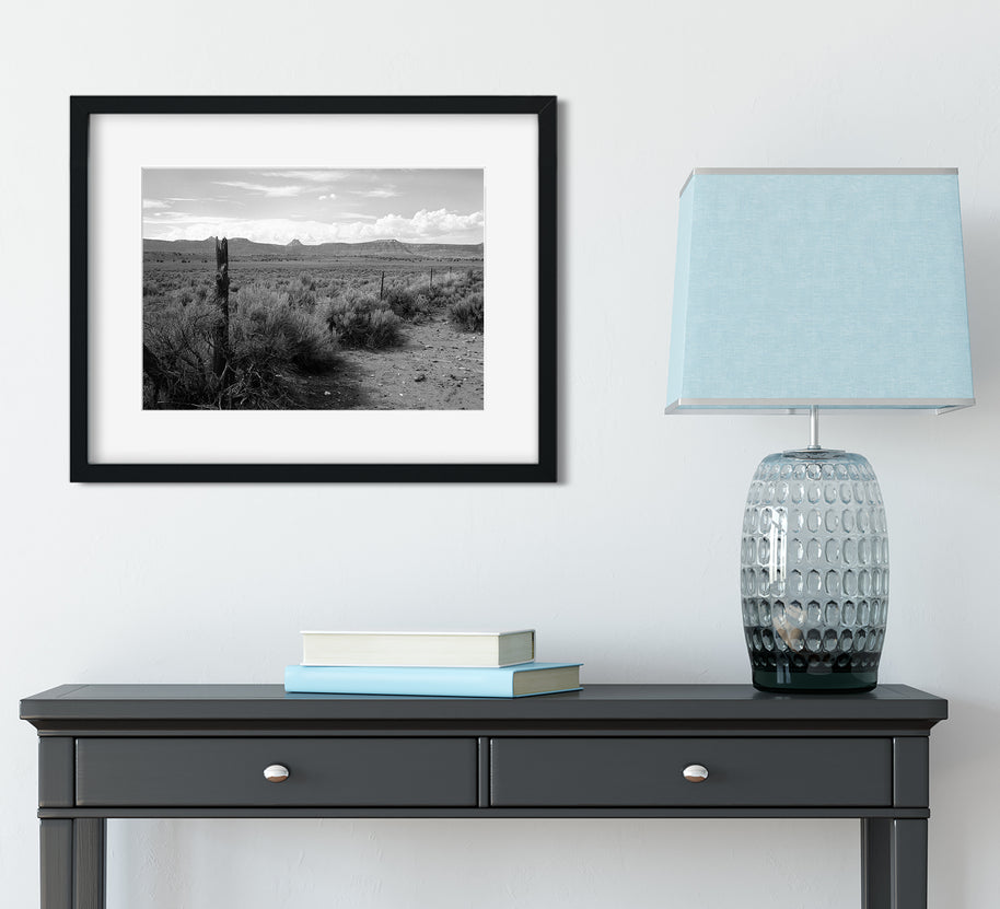 Ragged Fence and Tumbleweeds - Utah Photography