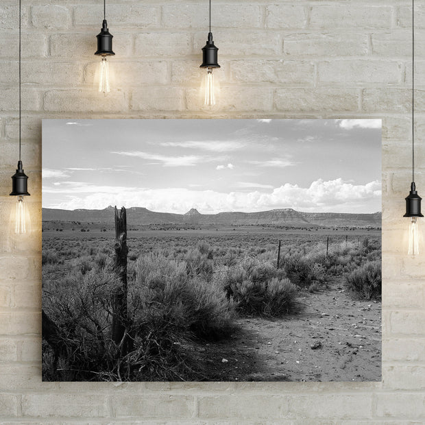 Ragged Fence and Tumbleweeds - Utah Photography