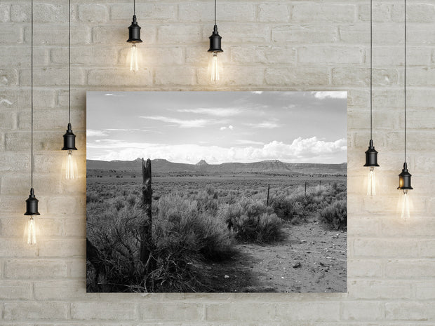 Ragged Fence and Tumbleweeds - Utah Photography