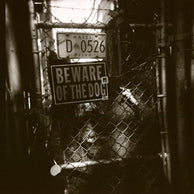 Voo Doo, New Orleans Fine Art Print - Holga Film Lost Kat Photography