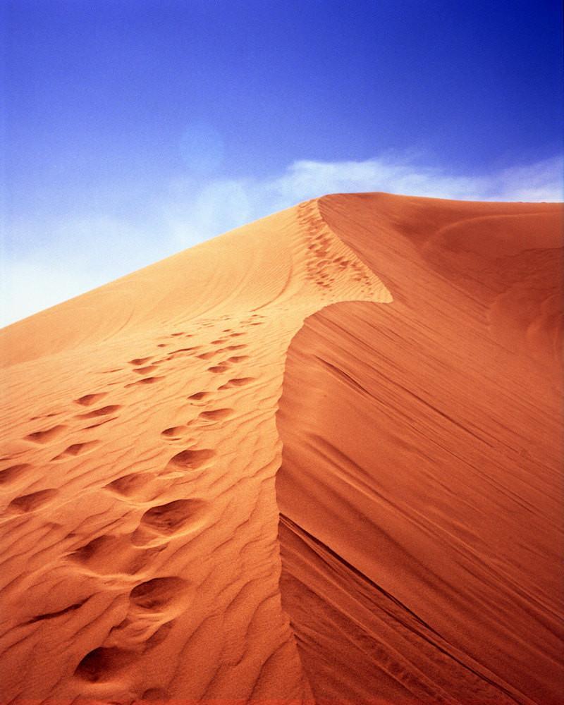 Walk With Me, Imperial Dunes, California Photography Lost Kat Photography