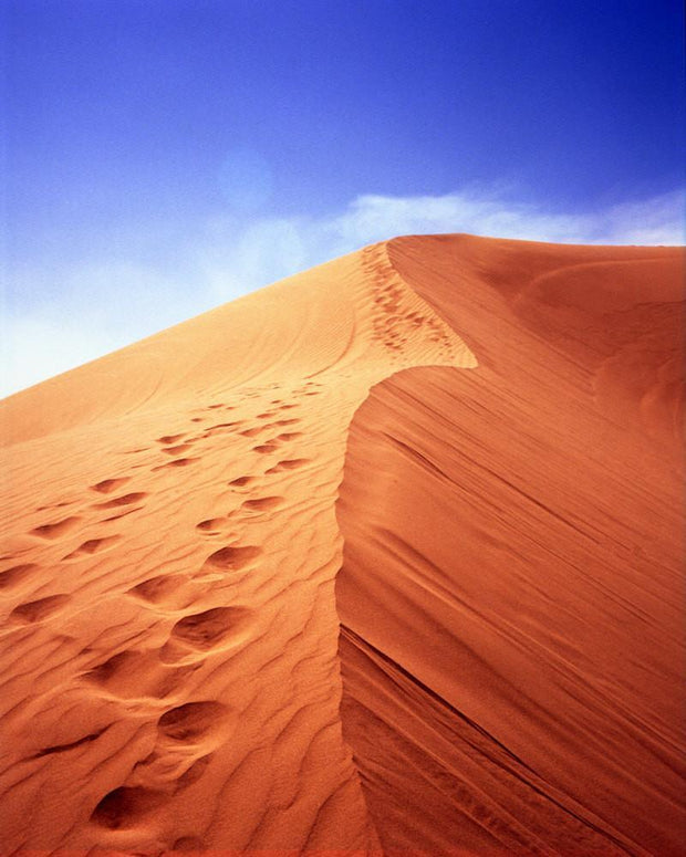 Walk With Me, Imperial Dunes, California Photography Lost Kat Photography
