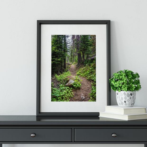 I Hope This Goes on Forever PNW Hiking Trail Photo Print -