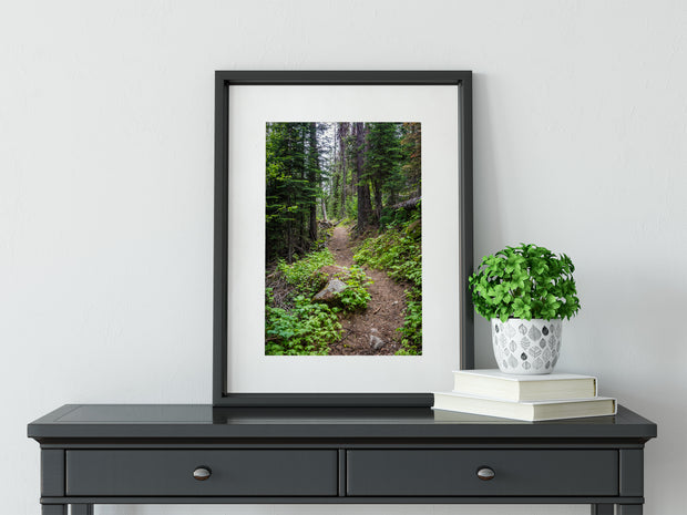I Hope This Goes on Forever PNW Hiking Trail Photo Print -