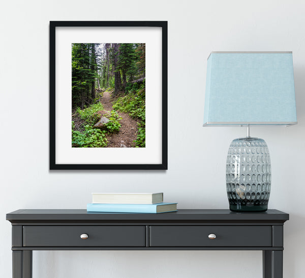 I Hope This Goes on Forever PNW Hiking Trail Photo Print -