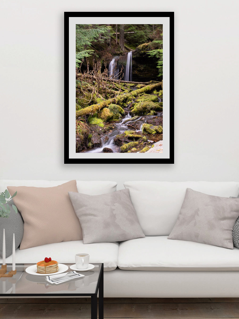 Cedar Forest Stream Pacific Northwest Photography