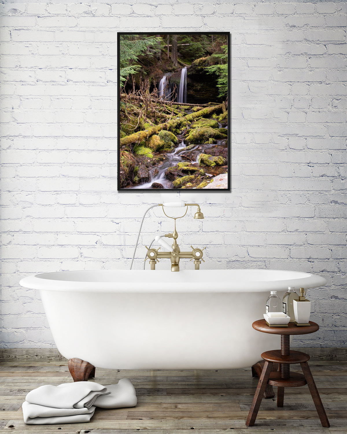 Cedar Forest Stream Pacific Northwest Photography