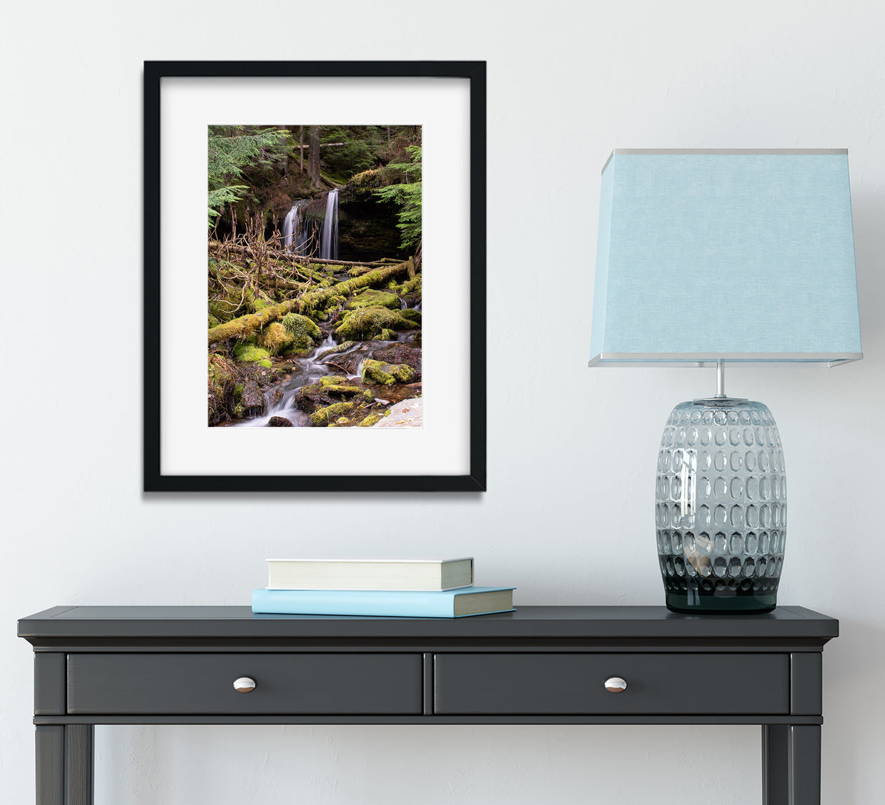 Cedar Forest Stream Pacific Northwest Photography