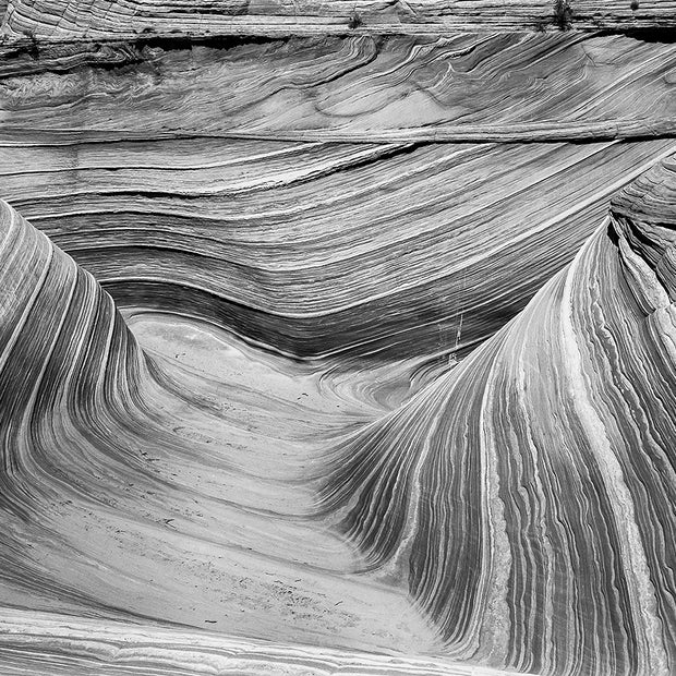 The Wave III Arizona Black and White Fine Art Print -