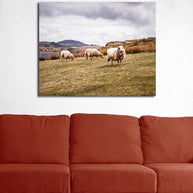 Welsh Sheep in Snowdonia Fine Art Photo Print - Photography