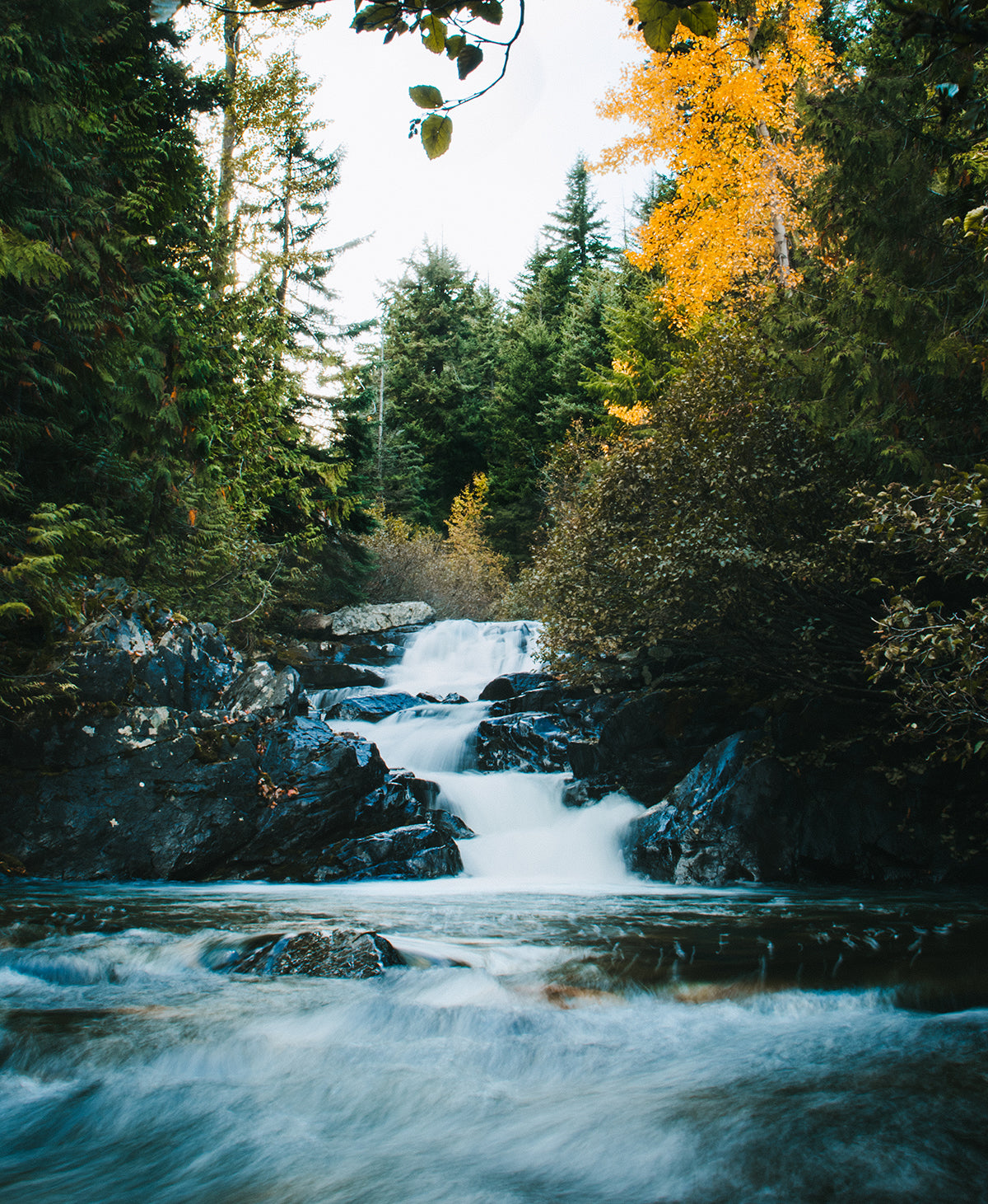 Autumn Waterfall in the Cascade Mountains Photo Print -