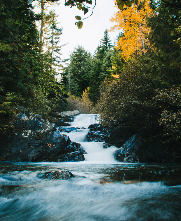 Autumn Waterfall in the Cascade Mountains Photo Print -