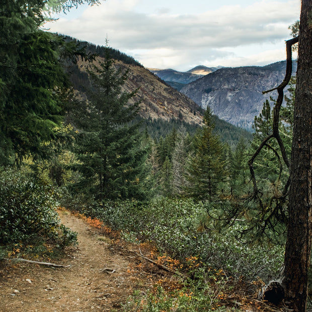 Scenic Trail in the Cascade Mountains Photo Print -