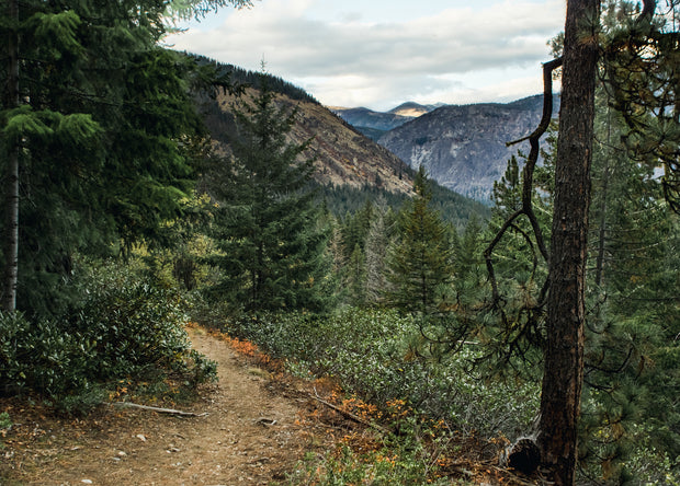 Scenic Trail in the Cascade Mountains Photo Print -
