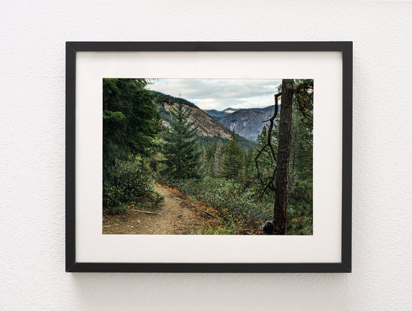 Scenic Trail in the Cascade Mountains Photo Print -