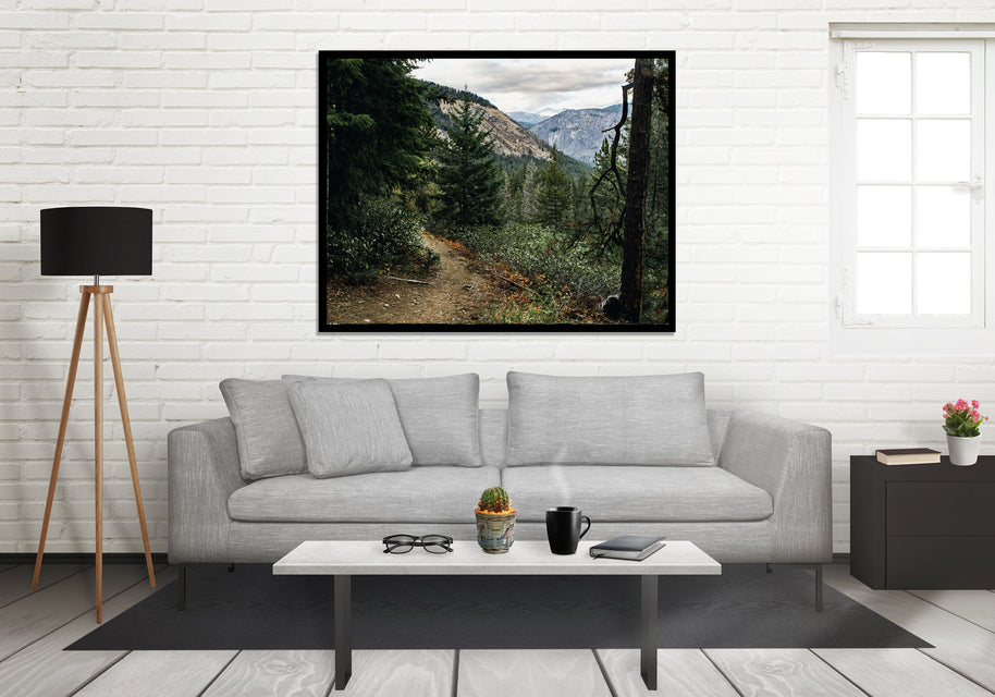 Scenic Trail in the Cascade Mountains Photo Print -