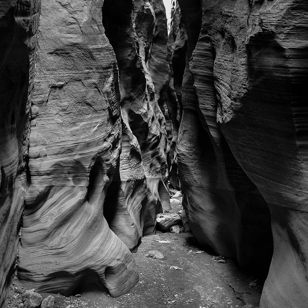 Wire Pass Slot Canyon Photo Print Utah - Black and White