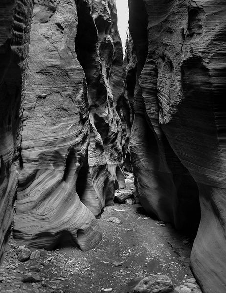 Wire Pass Slot Canyon Photo Print Utah - Black and White